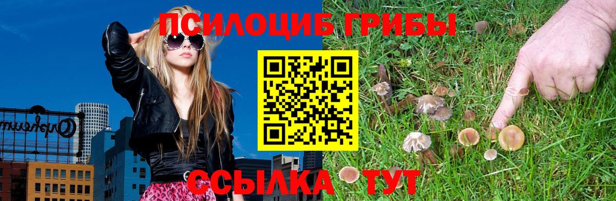 Галлюциногенные грибы GOLDEN TEACHER Железногорск