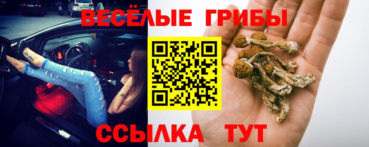 Псилоцибиновые грибы мицелий  Псилоцибиновые грибы Psilocybe  Железногорск  Вход с VPN 